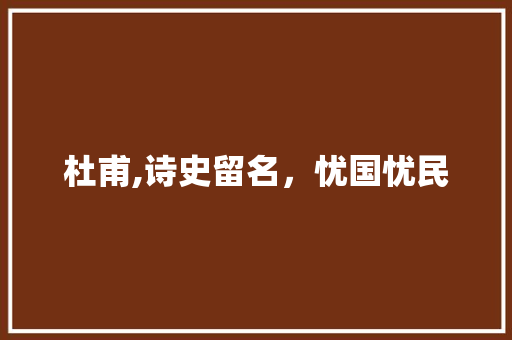 杜甫,诗史留名，忧国忧民