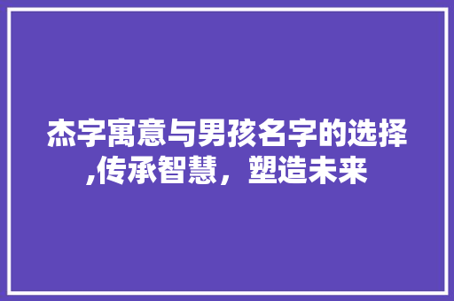 杰字寓意与男孩名字的选择,传承智慧，塑造未来
