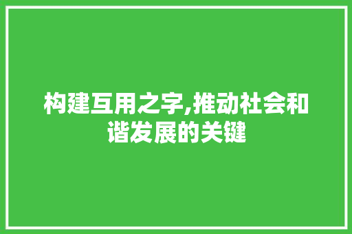 构建互用之字,推动社会和谐发展的关键