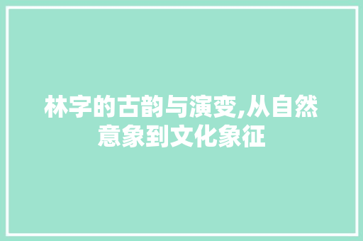 林字的古韵与演变,从自然意象到文化象征