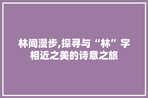 林间漫步,探寻与“林”字相近之美的诗意之旅
