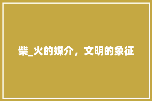 柴_火的媒介，文明的象征