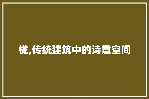 栊,传统建筑中的诗意空间