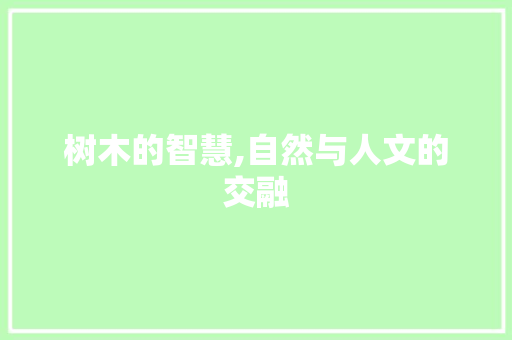 树木的智慧,自然与人文的交融