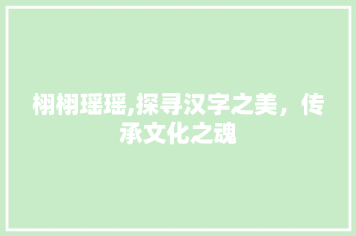 栩栩瑶瑶,探寻汉字之美，传承文化之魂