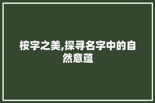 桉字之美,探寻名字中的自然意蕴