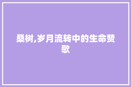 桑树,岁月流转中的生命赞歌