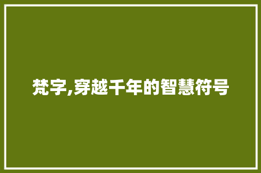 梵字,穿越千年的智慧符号