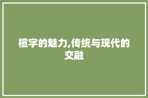 楦字的魅力,传统与现代的交融