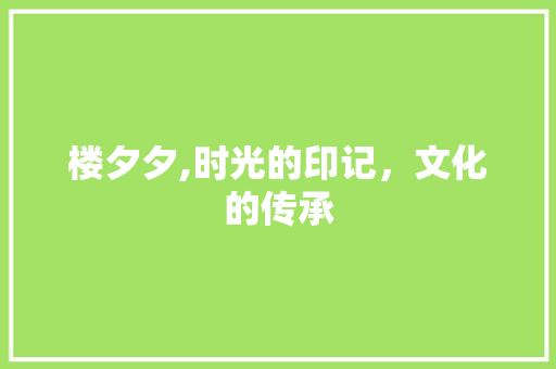 楼夕夕,时光的印记，文化的传承
