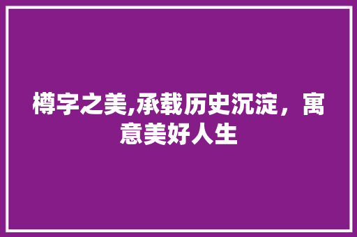 樽字之美,承载历史沉淀，寓意美好人生