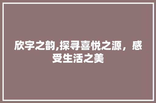 欣字之韵,探寻喜悦之源，感受生活之美