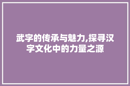 武字的传承与魅力,探寻汉字文化中的力量之源