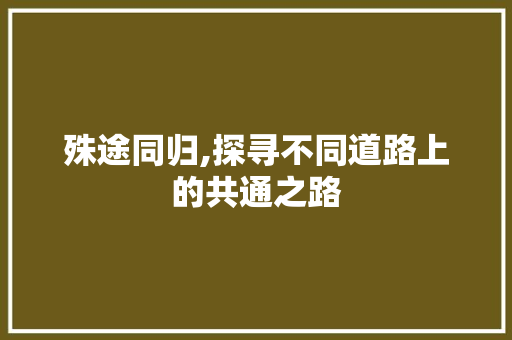 殊途同归,探寻不同道路上的共通之路