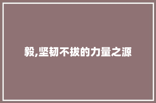 毅,坚韧不拔的力量之源