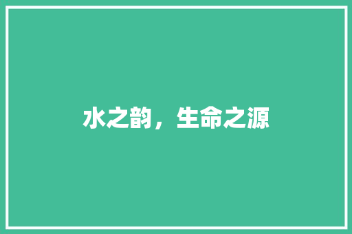 水之韵，生命之源