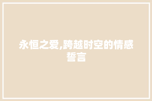 永恒之爱,跨越时空的情感誓言