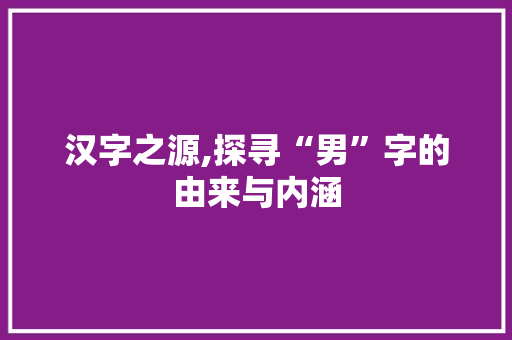 汉字之源,探寻“男”字的由来与内涵