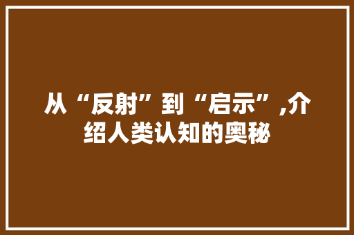从“反射”到“启示”,介绍人类认知的奥秘
