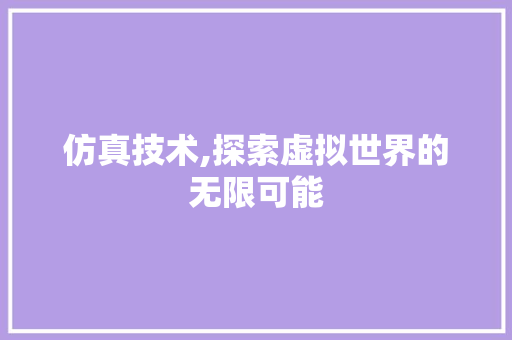 仿真技术,探索虚拟世界的无限可能