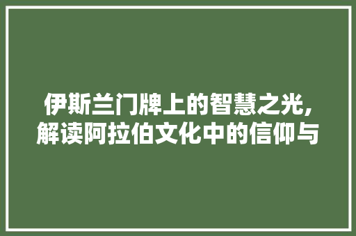 伊斯兰门牌上的智慧之光,解读阿拉伯文化中的信仰与生活 词汇积累