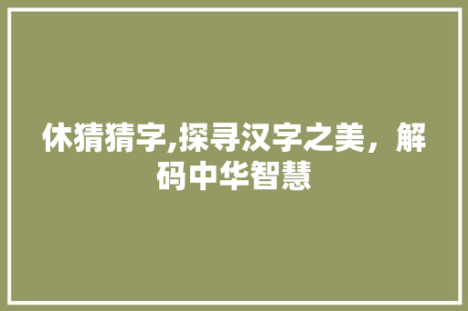 休猜猜字,探寻汉字之美，解码中华智慧 范文赏析