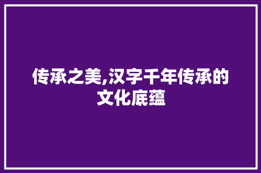 传承之美,汉字千年传承的文化底蕴 写作技巧