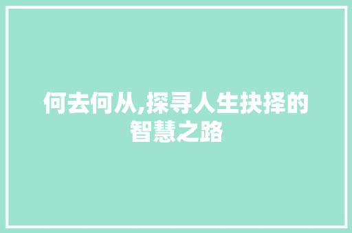 何去何从,探寻人生抉择的智慧之路 词汇积累