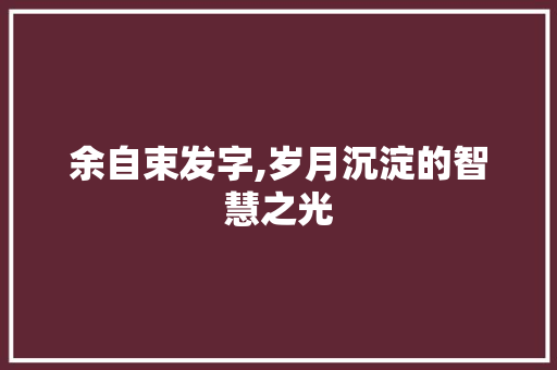 余自束发字,岁月沉淀的智慧之光 词汇积累