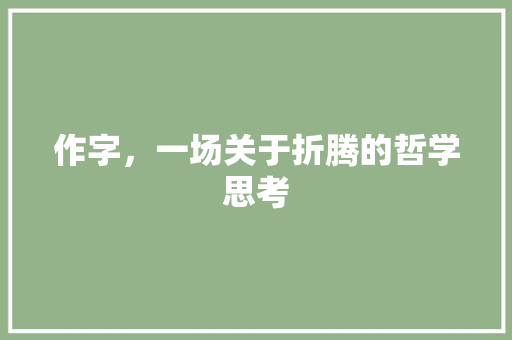 作字，一场关于折腾的哲学思考