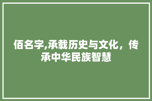 佰名字,承载历史与文化，传承中华民族智慧