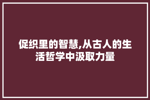 促织里的智慧,从古人的生活哲学中汲取力量