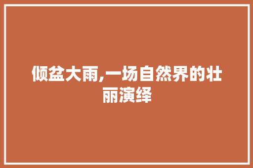 倾盆大雨,一场自然界的壮丽演绎 写作素材
