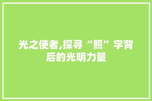 光之使者,探寻“照”字背后的光明力量