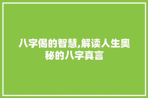 八字偈的智慧,解读人生奥秘的八字真言