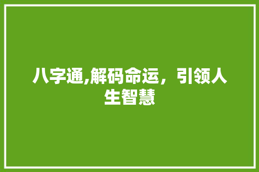八字通,解码命运，引领人生智慧