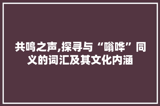 共鸣之声,探寻与“嗡哗”同义的词汇及其文化内涵