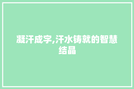凝汗成字,汗水铸就的智慧结晶 商业文案