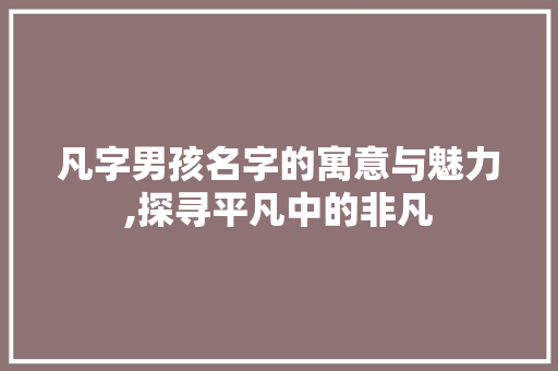 凡字男孩名字的寓意与魅力,探寻平凡中的非凡
