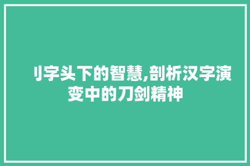刂字头下的智慧,剖析汉字演变中的刀剑精神