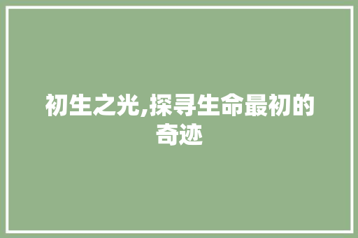 初生之光,探寻生命最初的奇迹