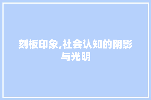 刻板印象,社会认知的阴影与光明 写作技巧