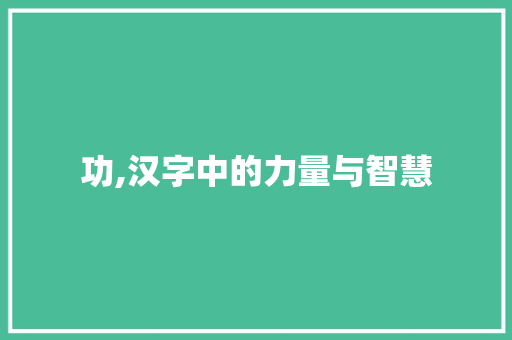 功,汉字中的力量与智慧 写作素材