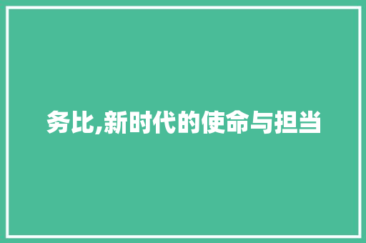 务比,新时代的使命与担当
