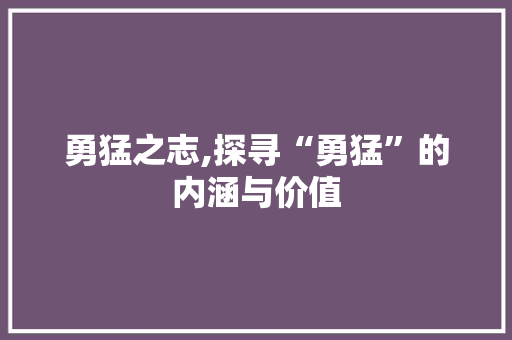 勇猛之志,探寻“勇猛”的内涵与价值