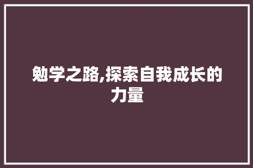 勉学之路,探索自我成长的力量
