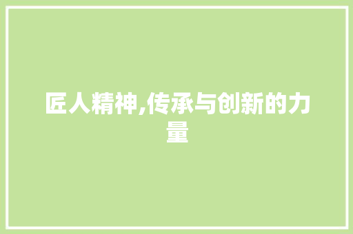 匠人精神,传承与创新的力量