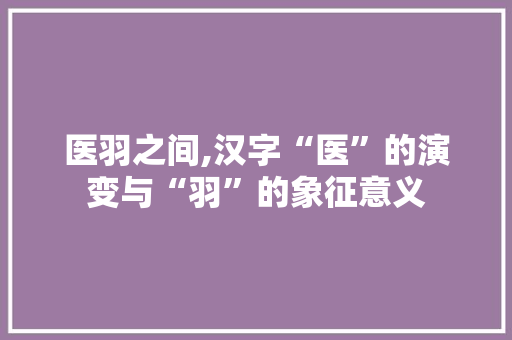 医羽之间,汉字“医”的演变与“羽”的象征意义
