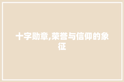 十字勋章,荣誉与信仰的象征 报告写作