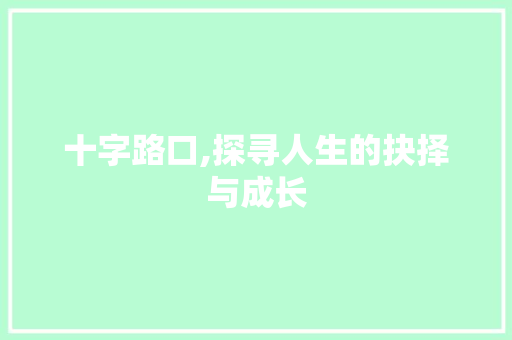 十字路口,探寻人生的抉择与成长